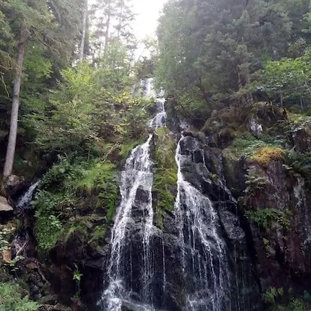 Le Nature 88