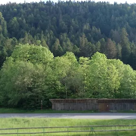 Le Nature 88 Apartment Gerardmer