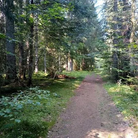 Le Nature 88 Gerardmer